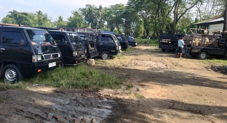 foto slider headline