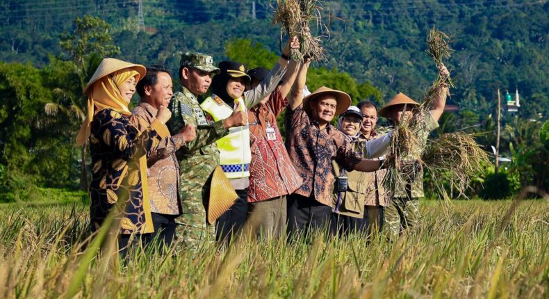 foto slider headline