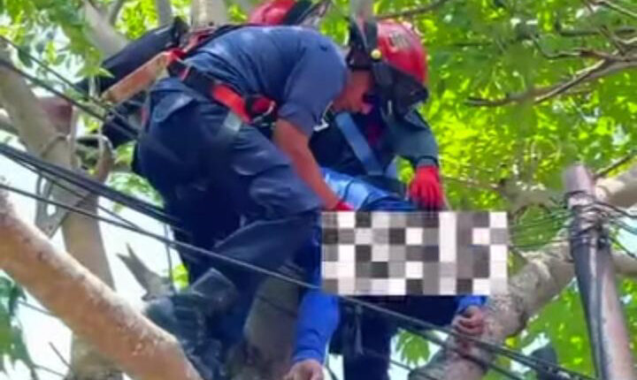 foto slider headline